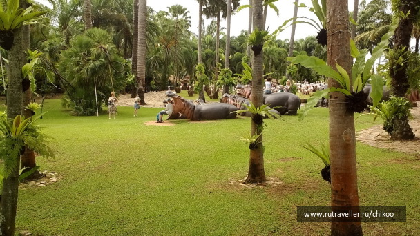 photo 1340550