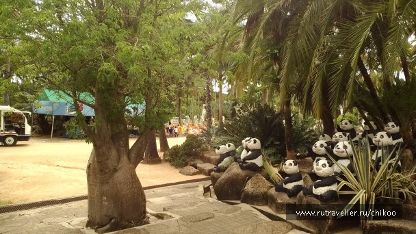 photo 1340575