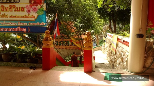 photo 1341749