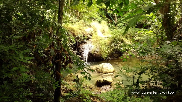 photo 1342205