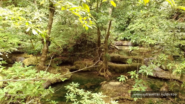 photo 1342210