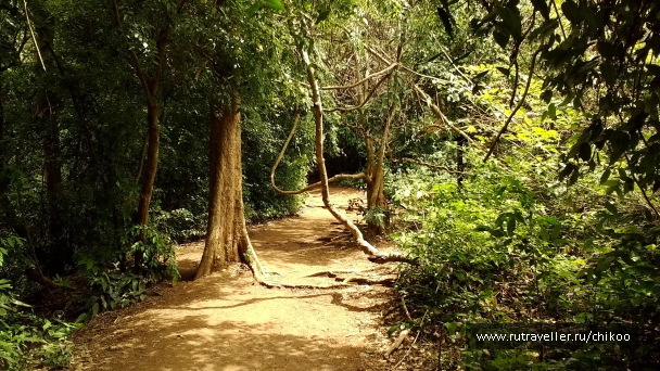 photo 1342215