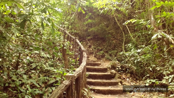photo 1342220