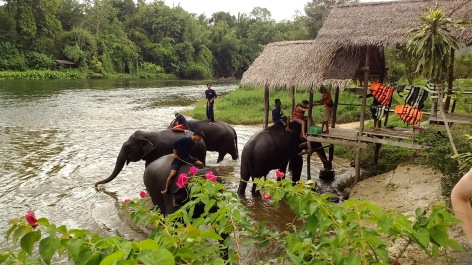 photo 1342441
