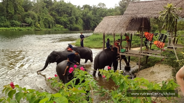 photo 1342441
