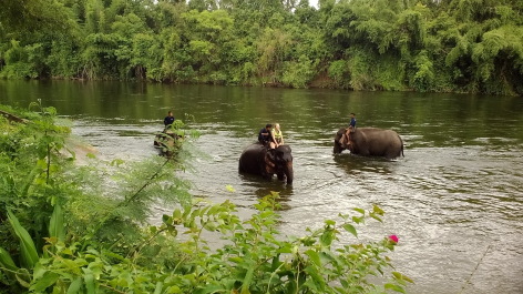photo 1342442