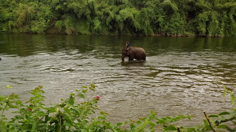 photo 1342443