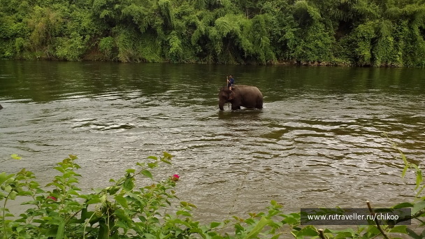 photo 1342443