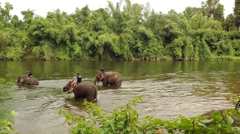 photo 1342445