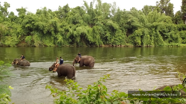 photo 1342445