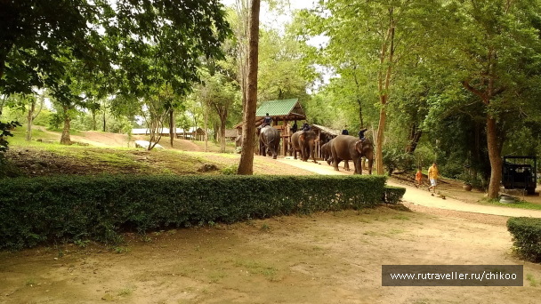 photo 1342446