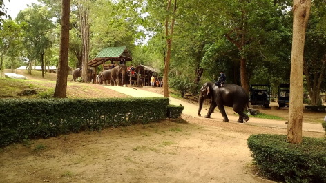 photo 1342447