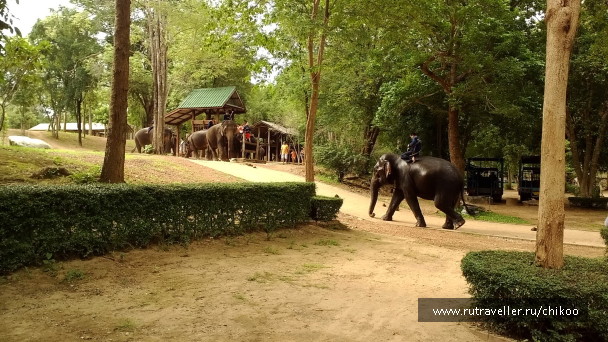 photo 1342447