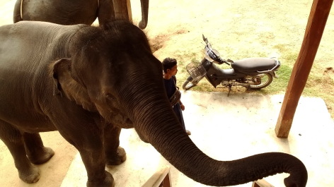 photo 1342448