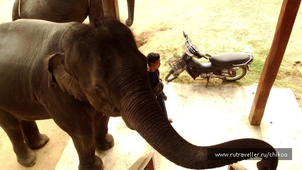 photo 1342448