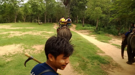 photo 1342450