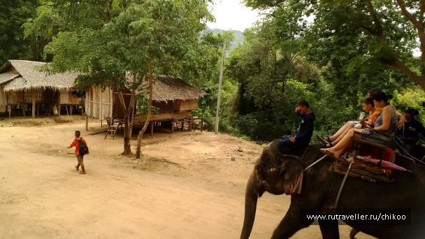 photo 1342452