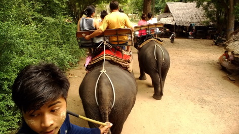 photo 1342454