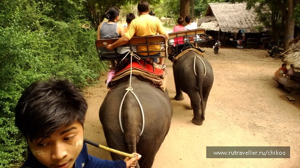 photo 1342454