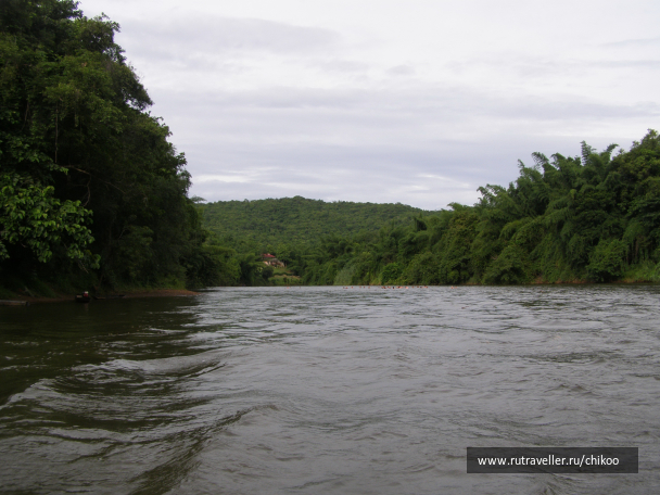 photo 1342654