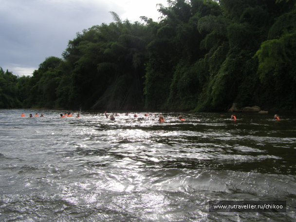 photo 1342659