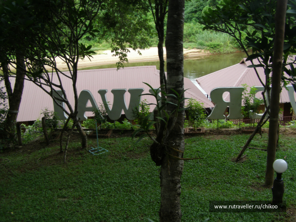 photo 1342676