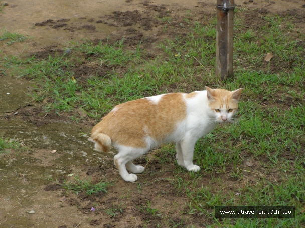 photo 1342682
