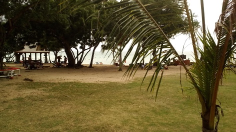 photo 1347812