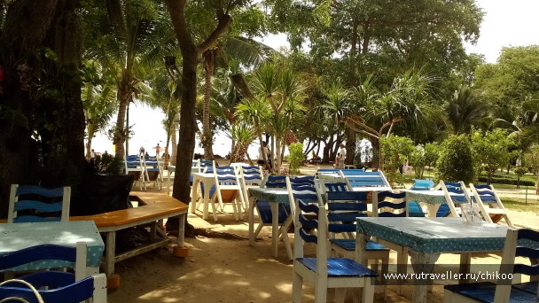 photo 1347817