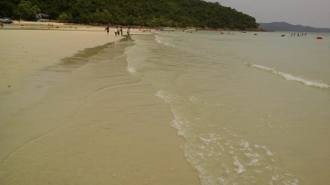 photo 1347821