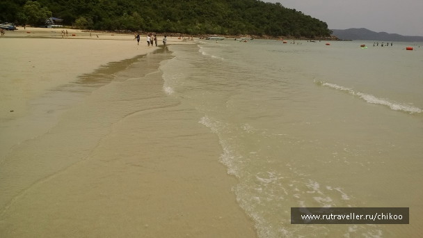 photo 1347821