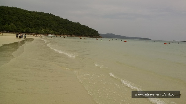 photo 1347822