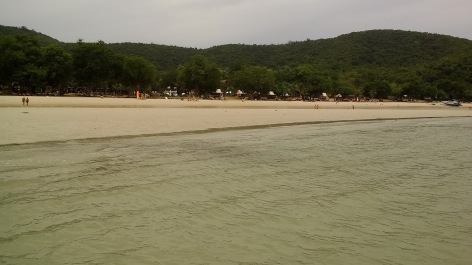 photo 1347827