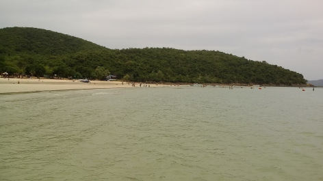 photo 1347828