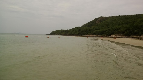 photo 1347830