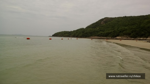 photo 1347830