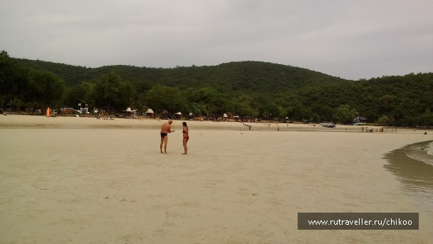 photo 1347832