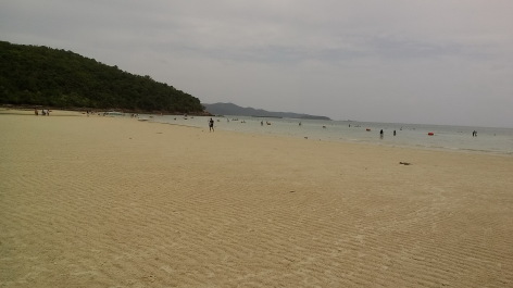 photo 1347834