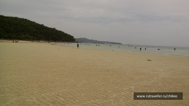 photo 1347834