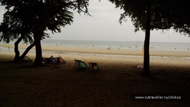 photo 1347836