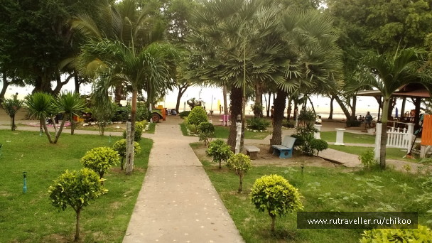 photo 1347840