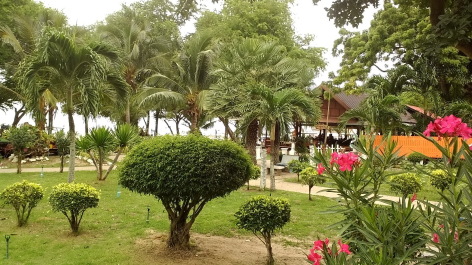 photo 1347841