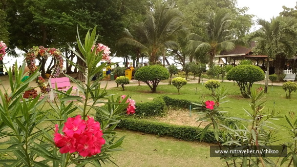 photo 1347843