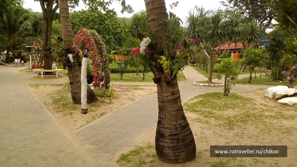 photo 1347850