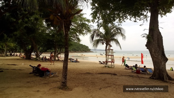 photo 1347852