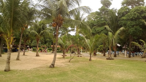 photo 1347853