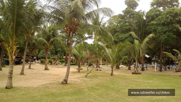 photo 1347853