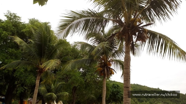photo 1347854
