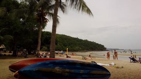 photo 1347855