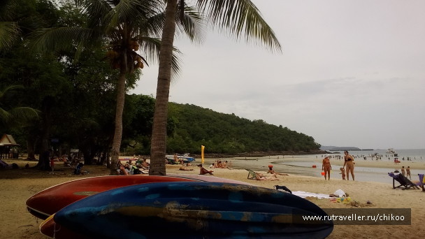 photo 1347855